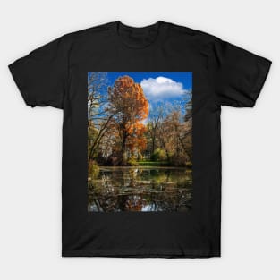 Pond, beautiful fall colors T-Shirt